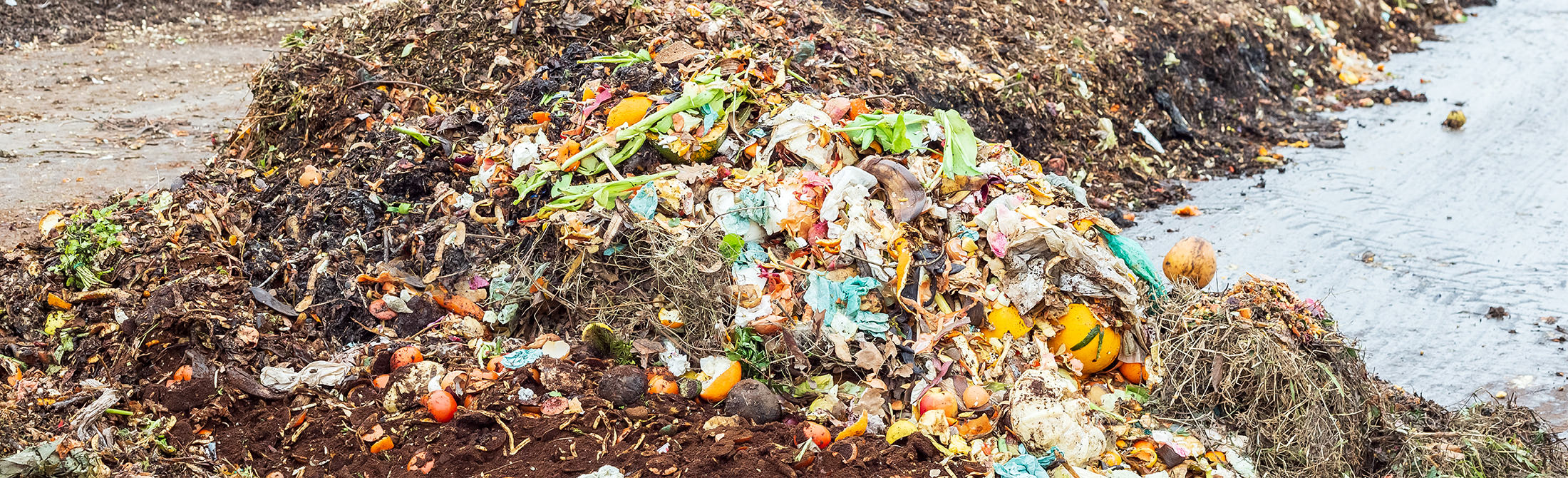 Landfill food waste