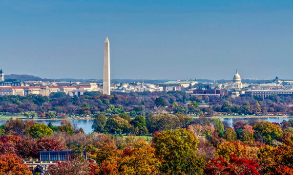 Trash revolution in DC
