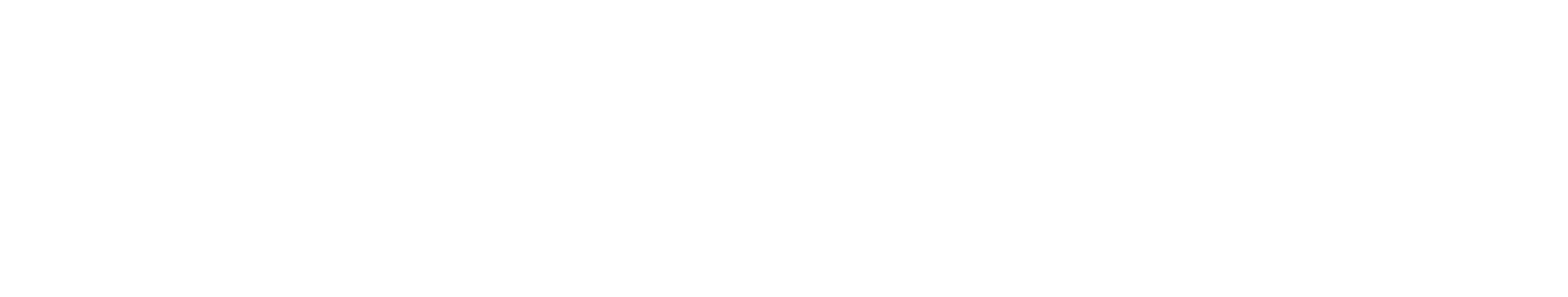 metroSTOR US