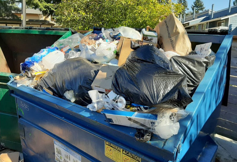 Overflowing dumpsters